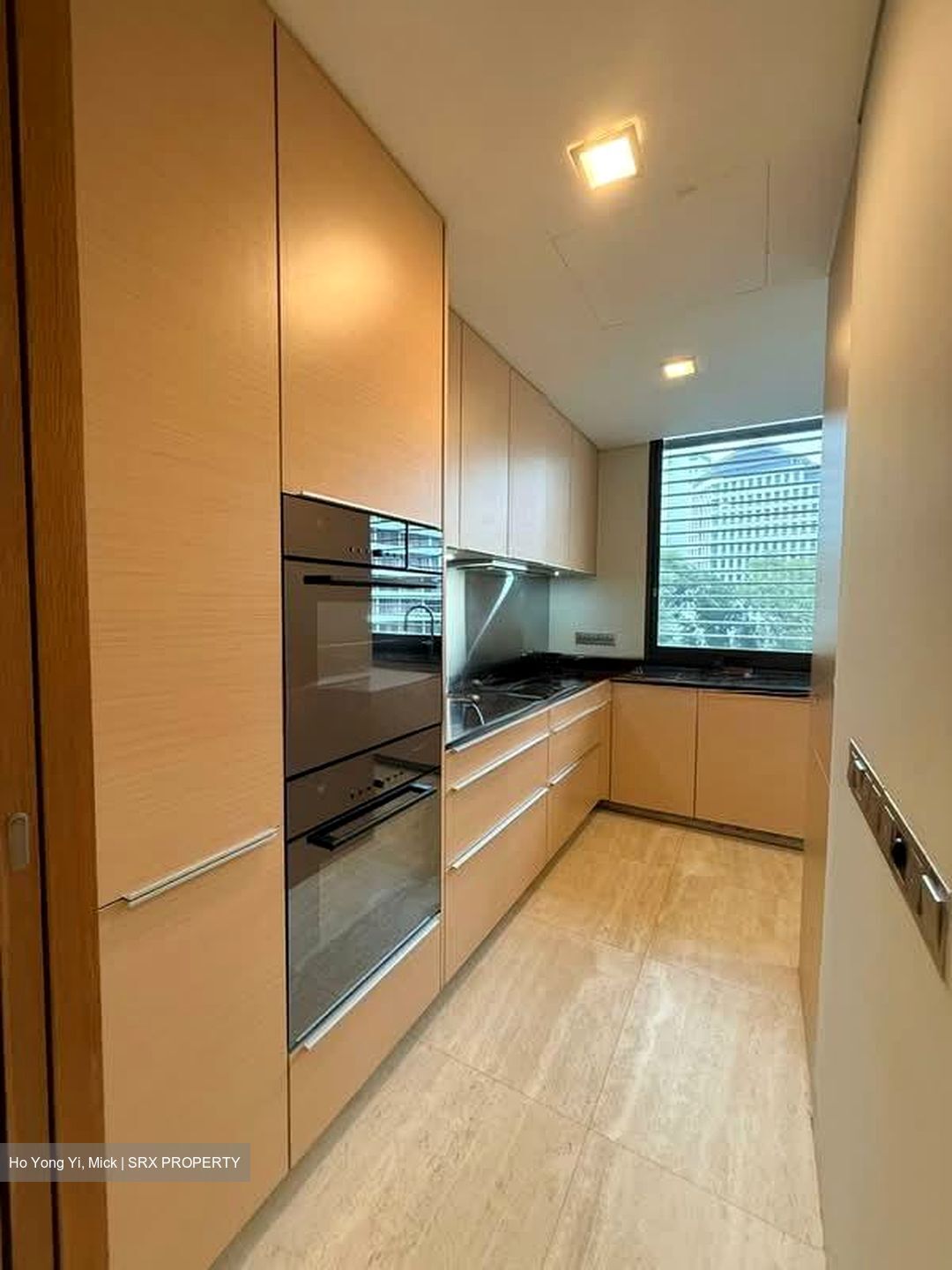 Hana (D10), Condominium #533804601